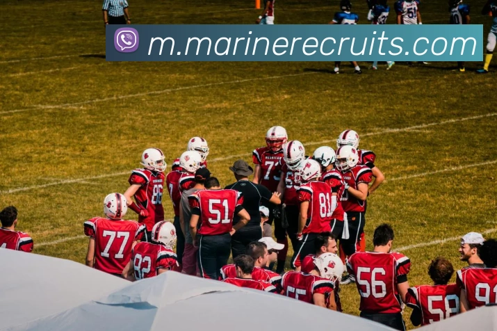 赛事专题整合